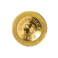Skrutky stavebné RAPI-TEC SK tanierová hlava 5,0x50mm 50ks / bal.malé